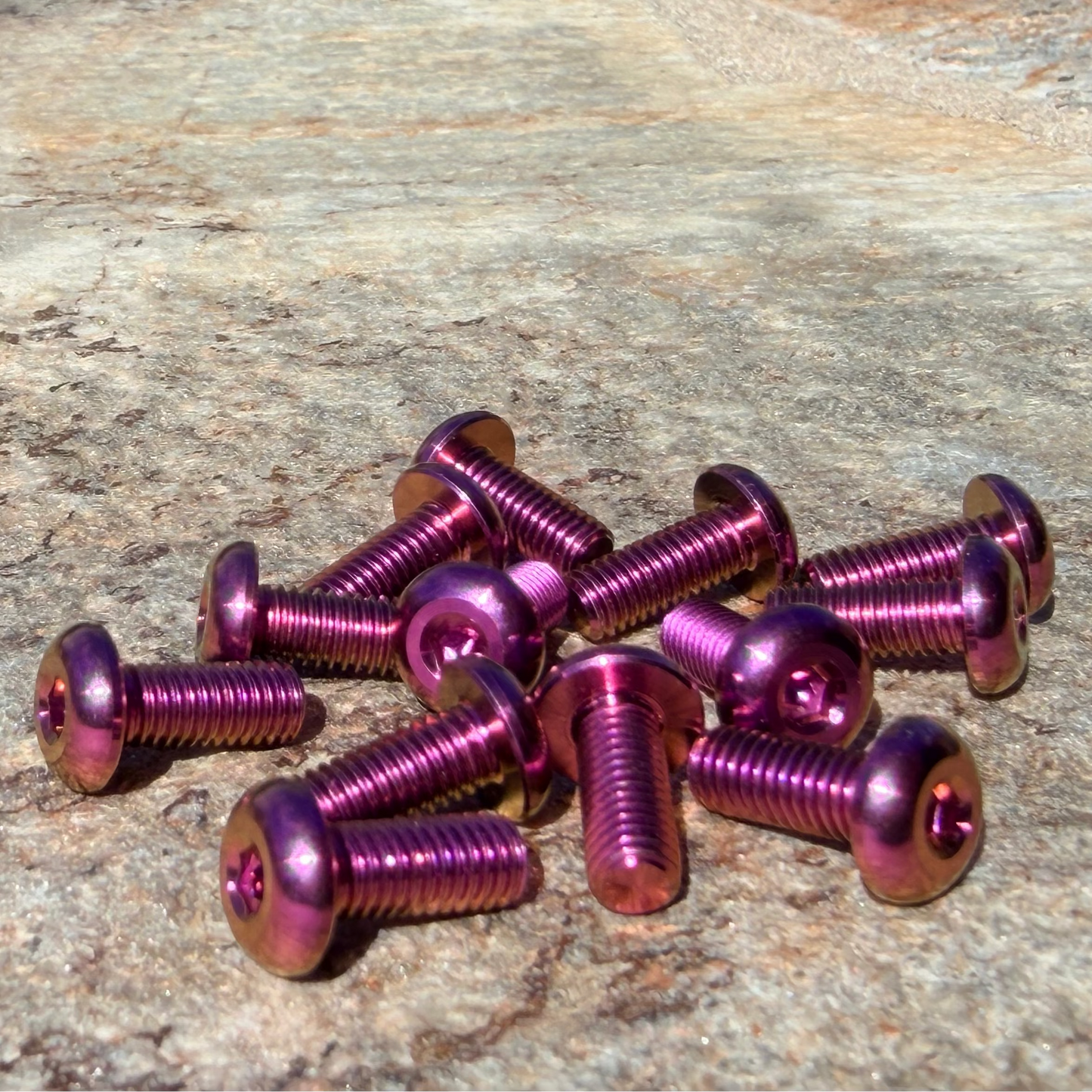 Titanium Frame Bolts