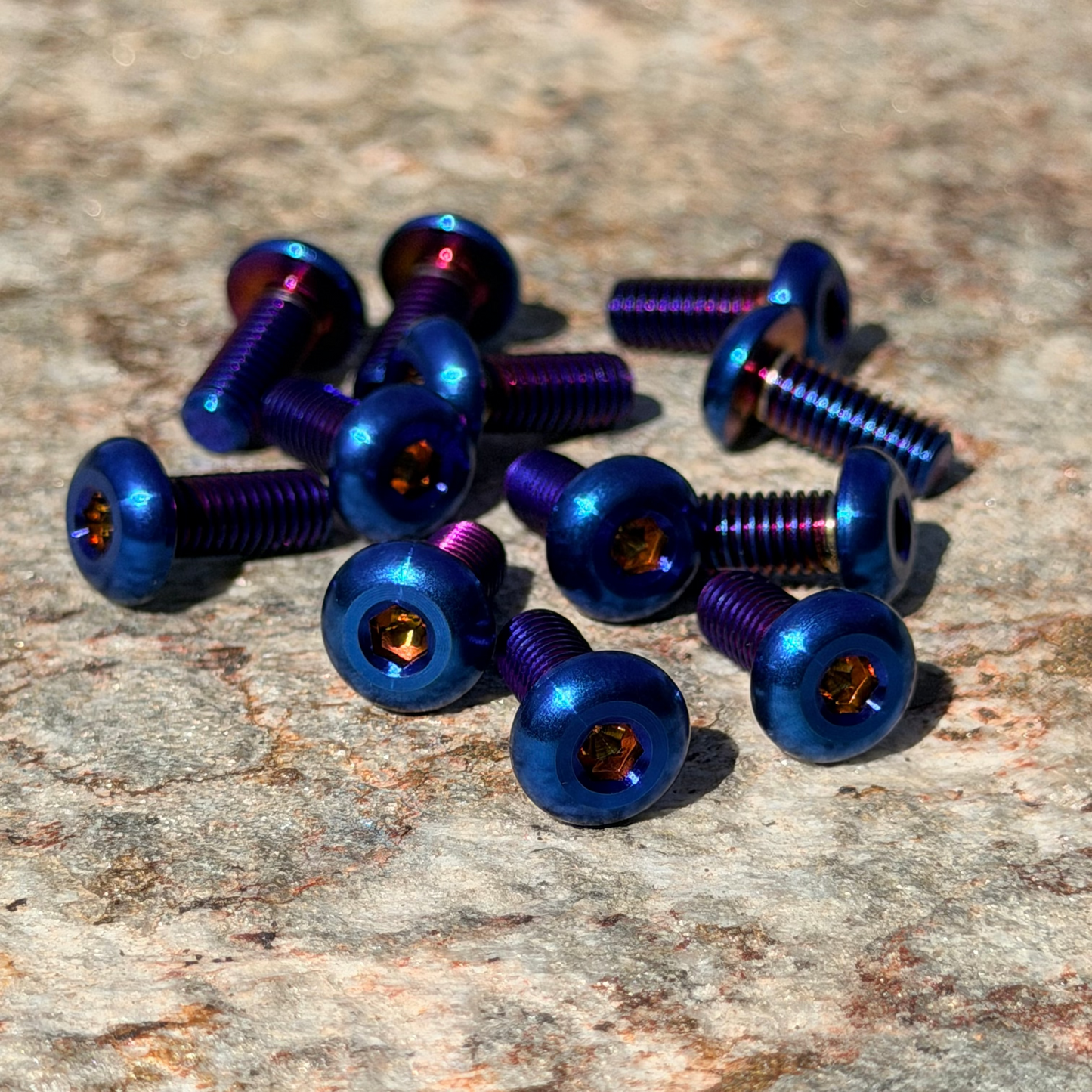 Titanium Frame Bolts