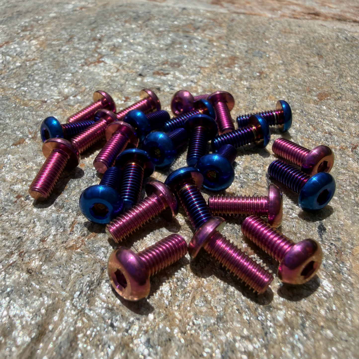 Titanium Frame Bolts